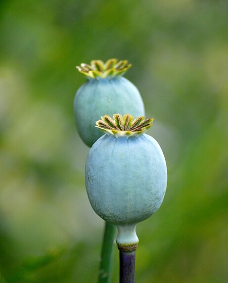 summer capsule wardrobe