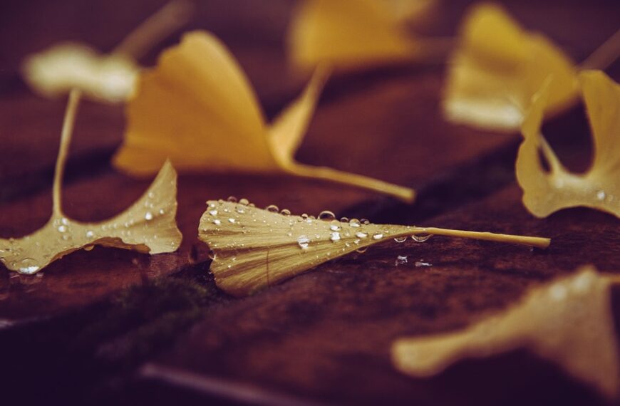 color season analysis