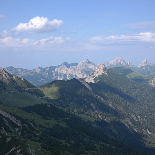 vintage thrifting tips