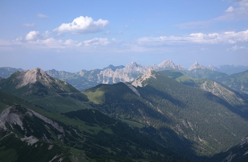 vintage thrifting tips